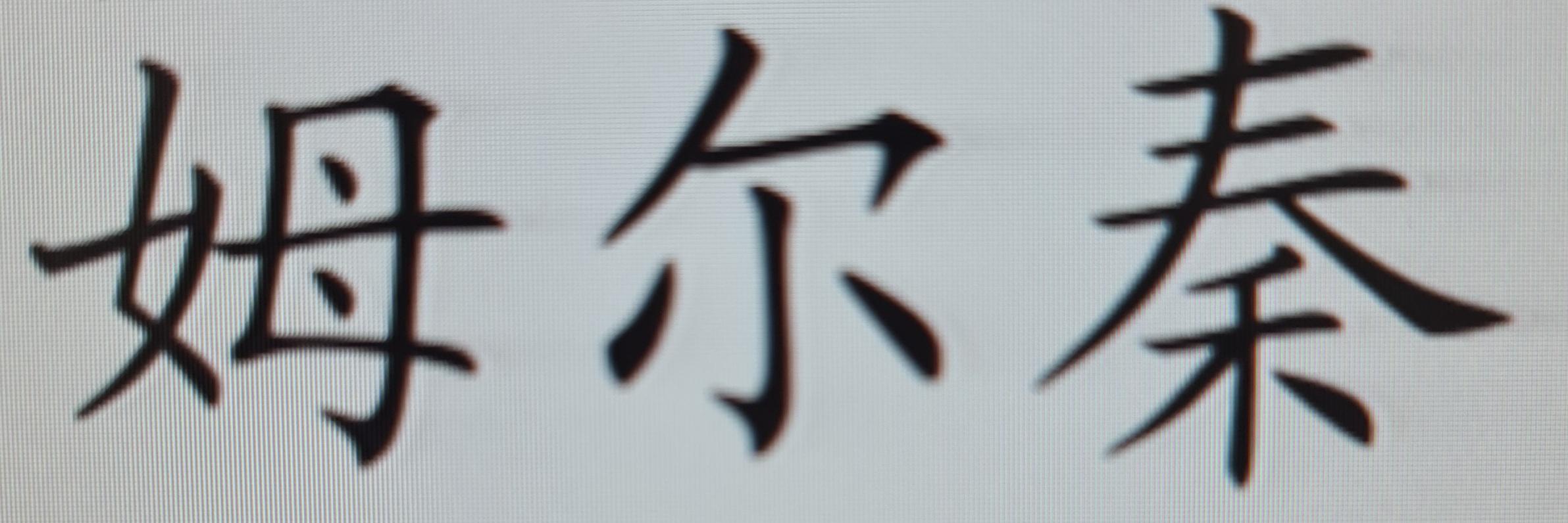 Mr Chin in Chinese writing. 